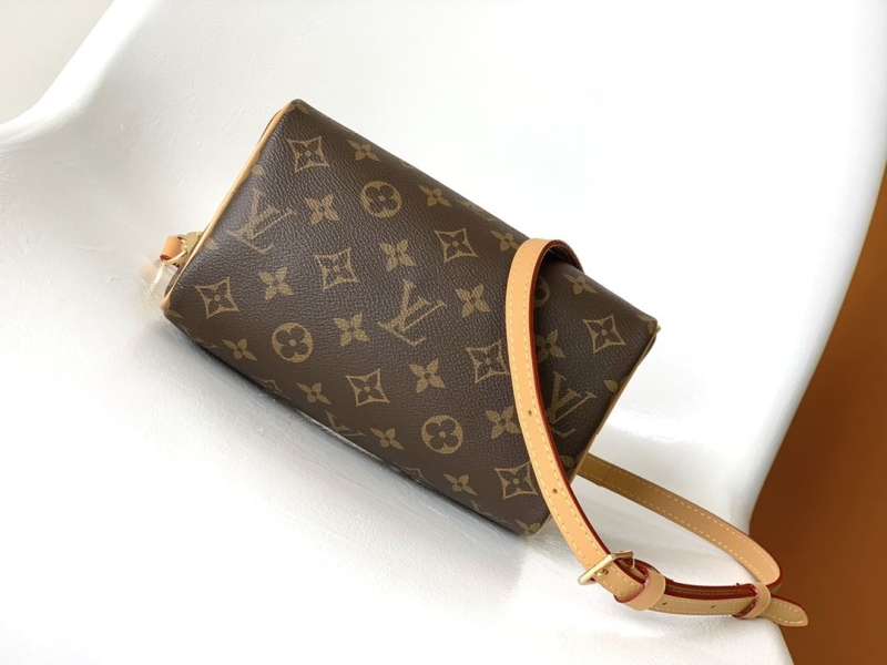 LV Speedy Bags